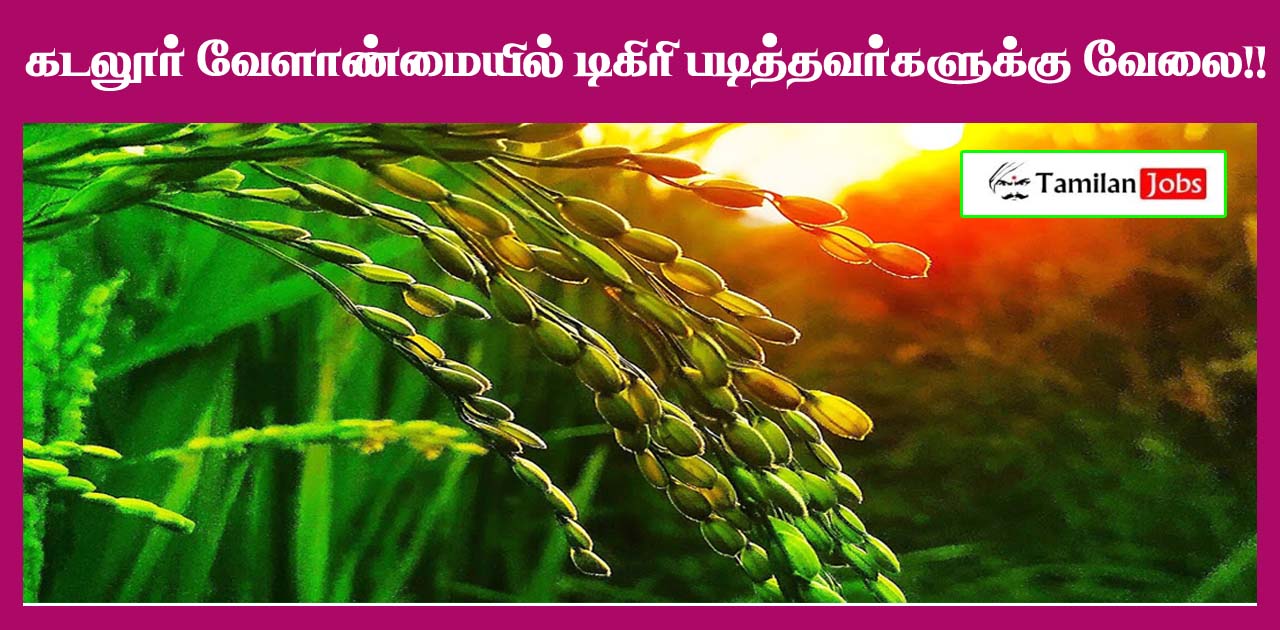 Tn Agriculture