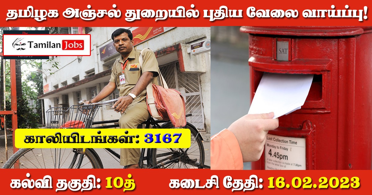 TN Post Office Recruitment 2023 - Tamilan Jobs TN Post Office Recruitment 2023