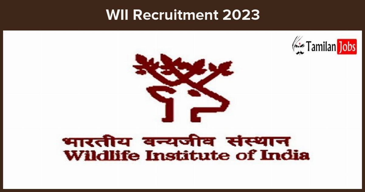 WII-Recruitment-2023