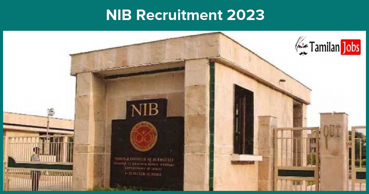 NIB Recruitment 2023