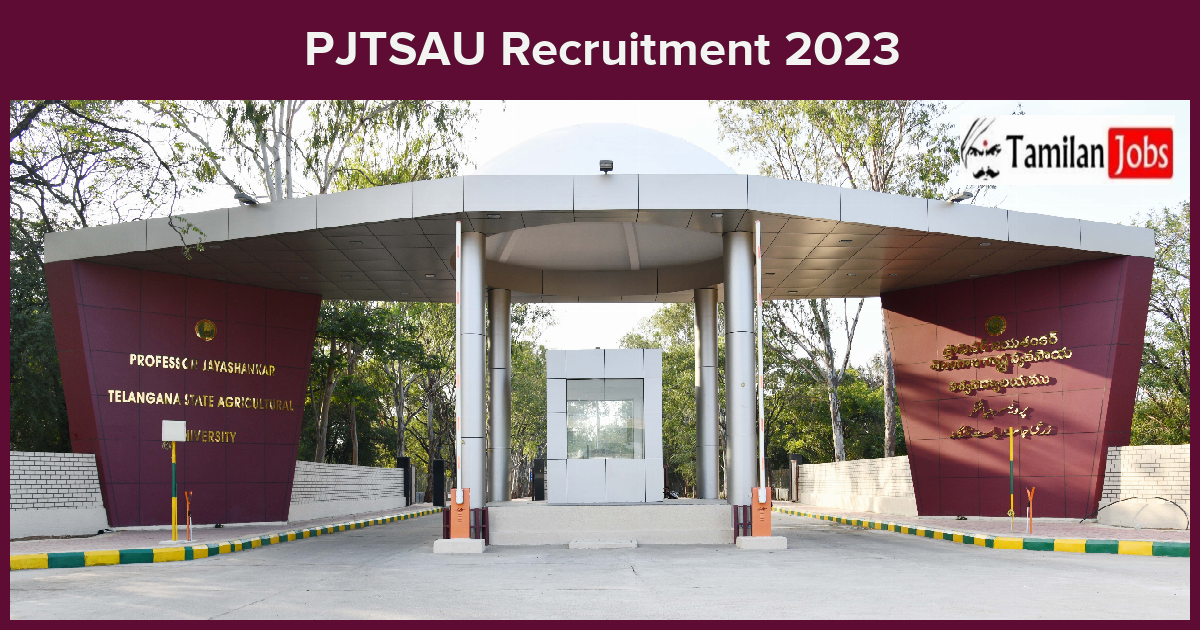 PJTSAU-Recruitment-2023