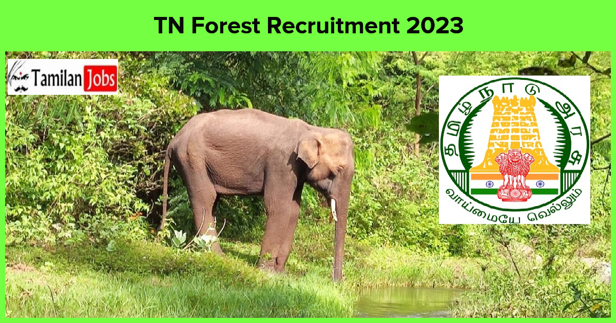 Tn Forest Recruitment 2023