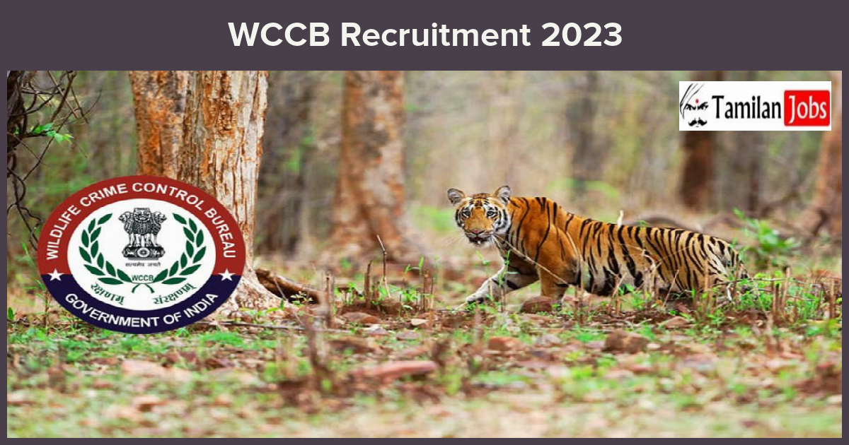 WCCB-Recruitment-2023