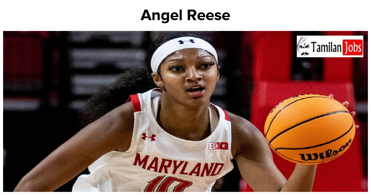 Angel Reese Net Worth In 2023 How Is The Basketball Player Rich Now?