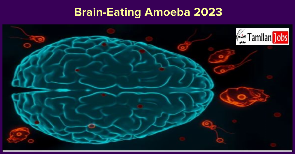 Brain-Eating Amoeba 2023