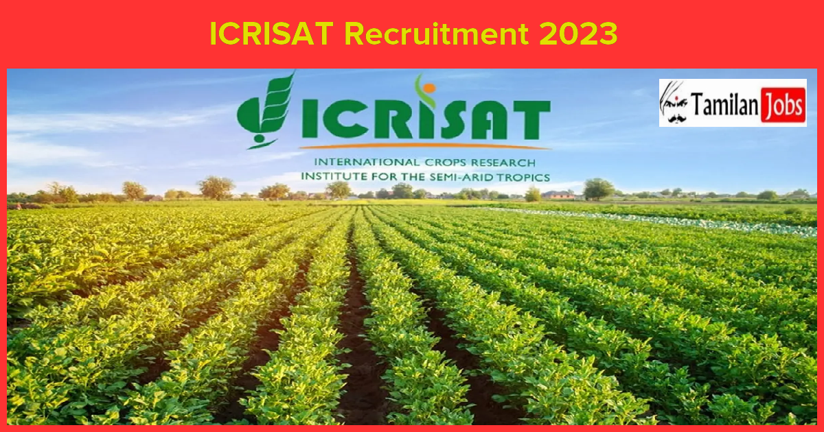 Icrisat Recruitment 2023