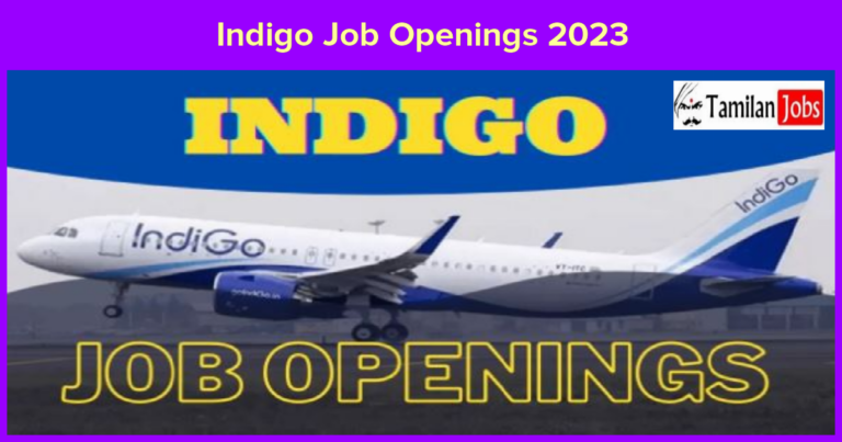 Indigo Job Openings 2023