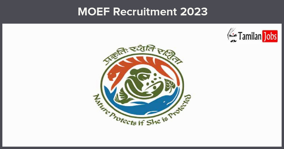  Moef Recruitment 2023