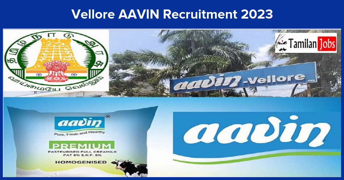 Vellore AAVIN Recruitment 2023 - Tamilan Jobs Vellore AAVIN Recruitment 2023