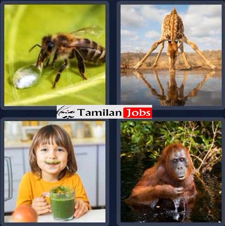 4 Pics 1 Word, 5 Letters Daily Puzzle April 22 2023 Clues, Answer