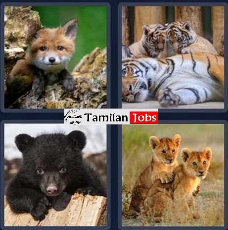 4 Pics 1 Word, 3 Letters Daily Puzzle April 19 2023 Answer
