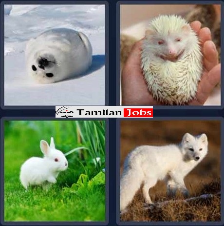 4 Pics 1 Word Daily Puzzle April 26 2023 Clues, Answer