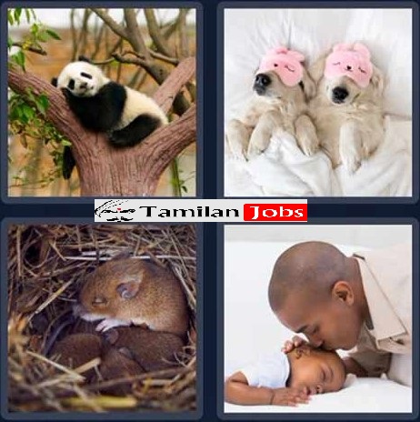 4 Pics 1 Word Daily Puzzle April 27 2023 Clues, Answer