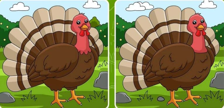 Brain Teaser: Find The Differences Between Two Turkey Under 5secs