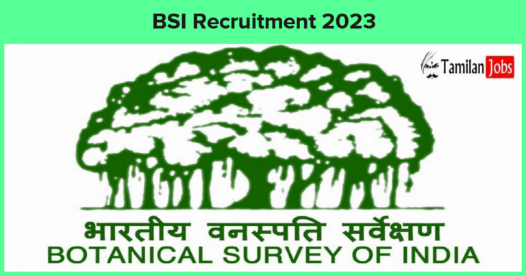 BSI Recruitment 2023