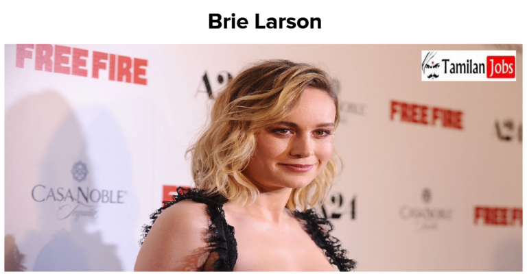 Brie Larson Net Worth in 2023 How is the Actress Rich Now?