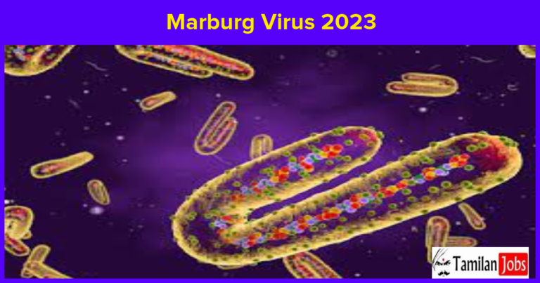 Marburg Virus 2023