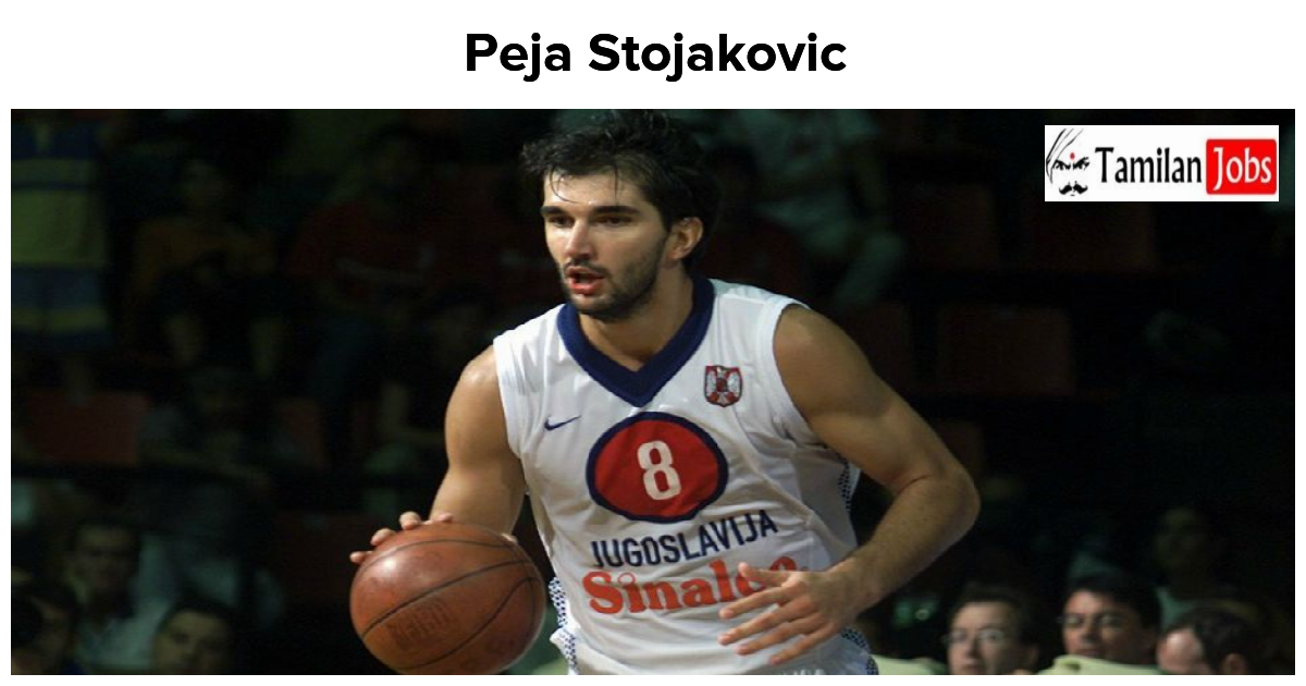 Peja Stojakovic Net Worth