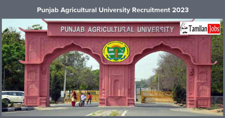 Punjab Agricultural University Recruitment 2023