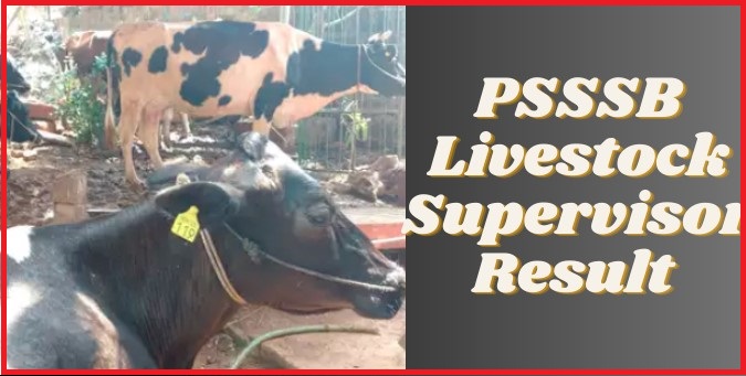 PSSSB Veterinary Inspector Answer Key 2023 PDF Released, Check Your Score