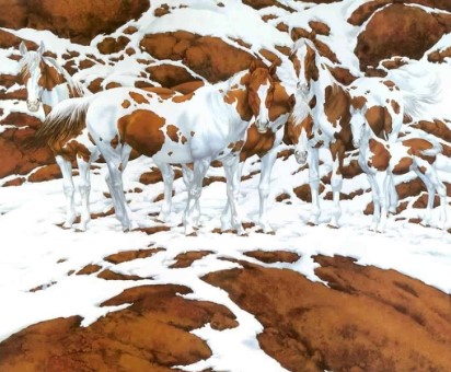 Brain Teaser: There Are Six Horses Blended With The Snow Environment Spot Them in 13 secs