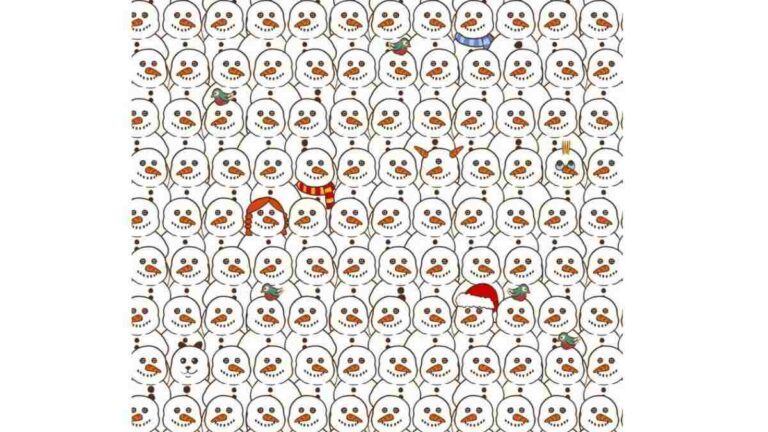 Brain Teaser: A Panda is Hidden Among Snowmen Find it In 20 secs? 99% Fail