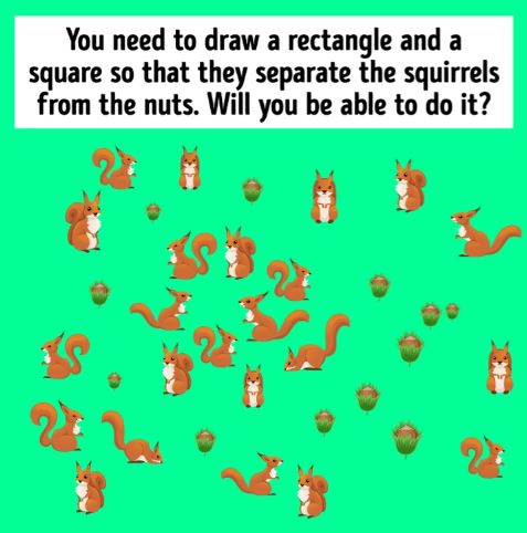 Brain Teaser: Separate The Squirrels From The Nuts With a Square And a Rectangle in 12 Secs