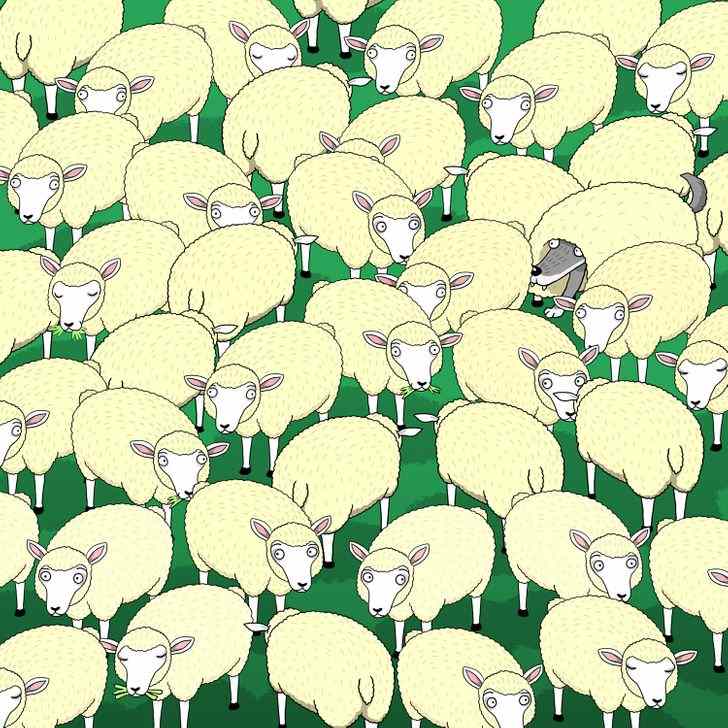 Brain Teaser: Find The Wolf Hiding Among The Sheeps, Spot It Under 9 Secs