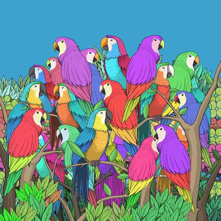 Brain Teaser: Find the Butterfly Hiding Among The Colorful Parrots! Solve It in 13 secs