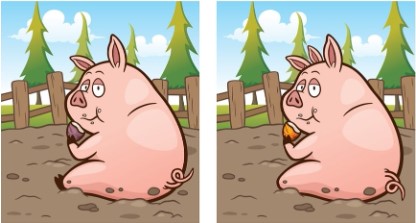 Brain Teaser: Find The Differences Between The Pig Pictures in Under 11 Secs, Only few can do this
