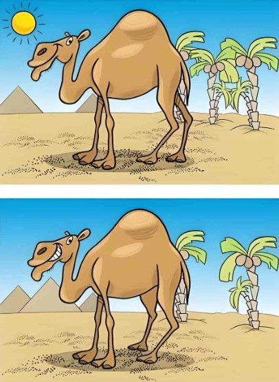 Brain Teaser To Test Your IQ: A Camel Under The Sun In The Desert, Find The Difference