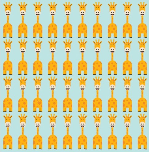 Brain Teaser: One Of The Giraffes Is Odd Find It in 13 secs