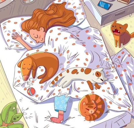 Brain Teaser To Test Your IQ: Sleeping Girl’s Bed Room, Find The Camouflage Bee in 7 Secs ?