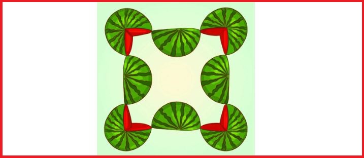 Brain Teaser: How many Watermelons are here, Find in 11 seconds