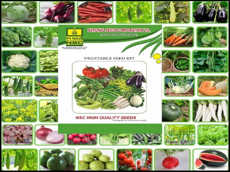 NSCL Recruitment 2023 – Management Trainee Jobs, 89 Vacancies!