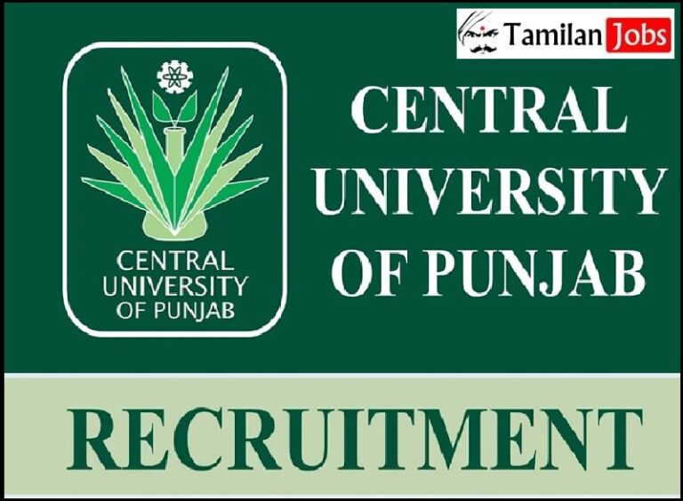 Central University of Punjab Recruitment 2023