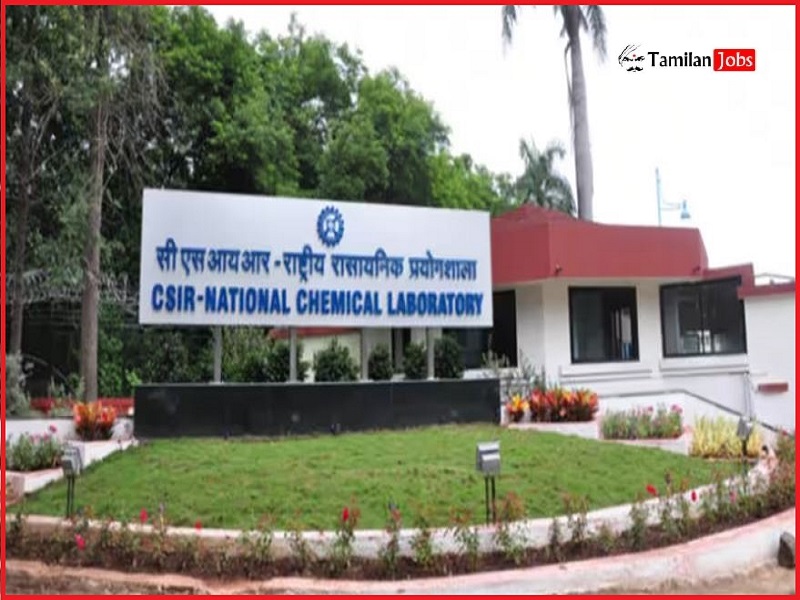 NCL Recruitment 2023 (OUT) Apply Senior Project Associate Posts Ncl Recruitment 2023