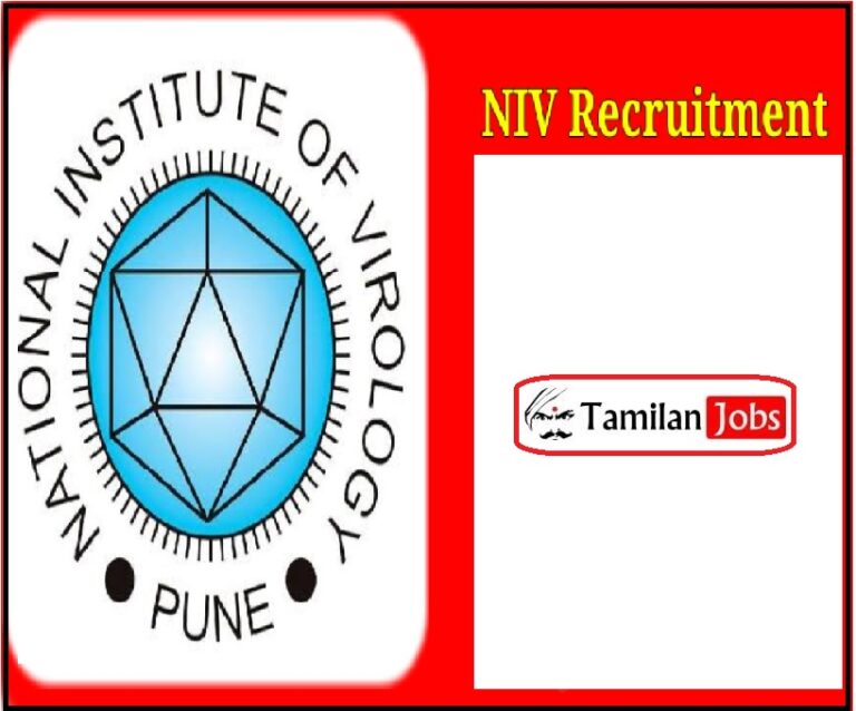 NIV Recruitment 2023 (Out): Project Technical Support Job Posts!
