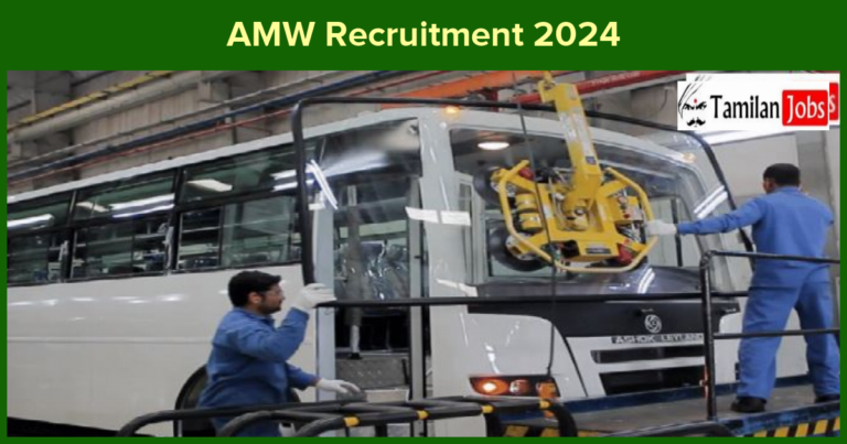 AMW Recruitment 2024