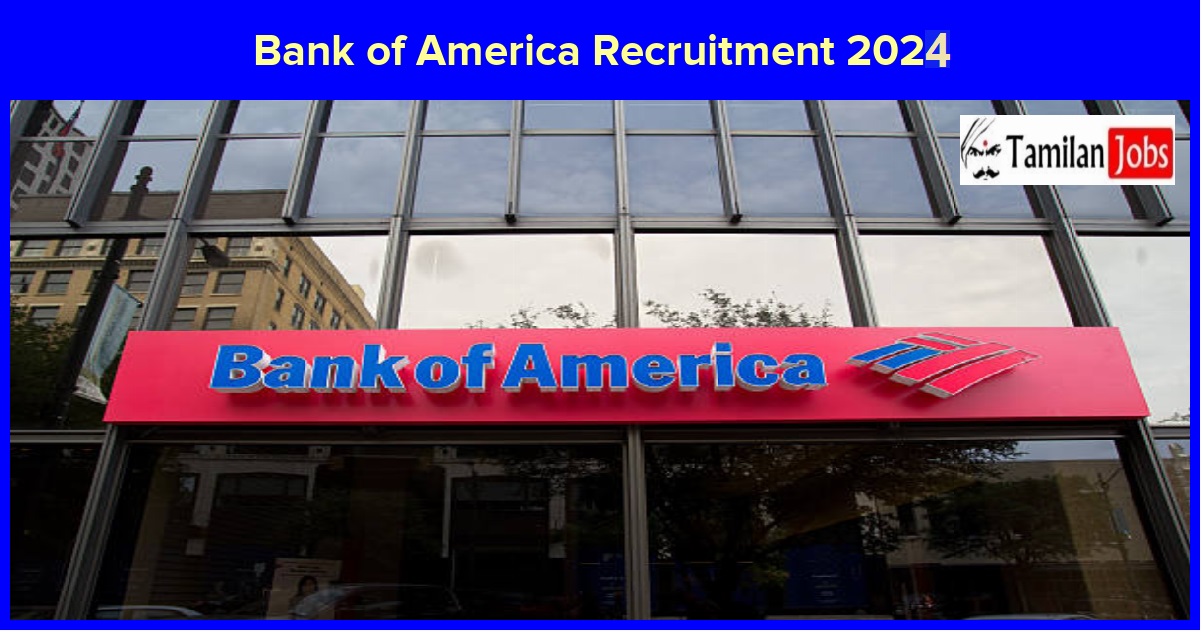 Bank of America Recruitment 2024