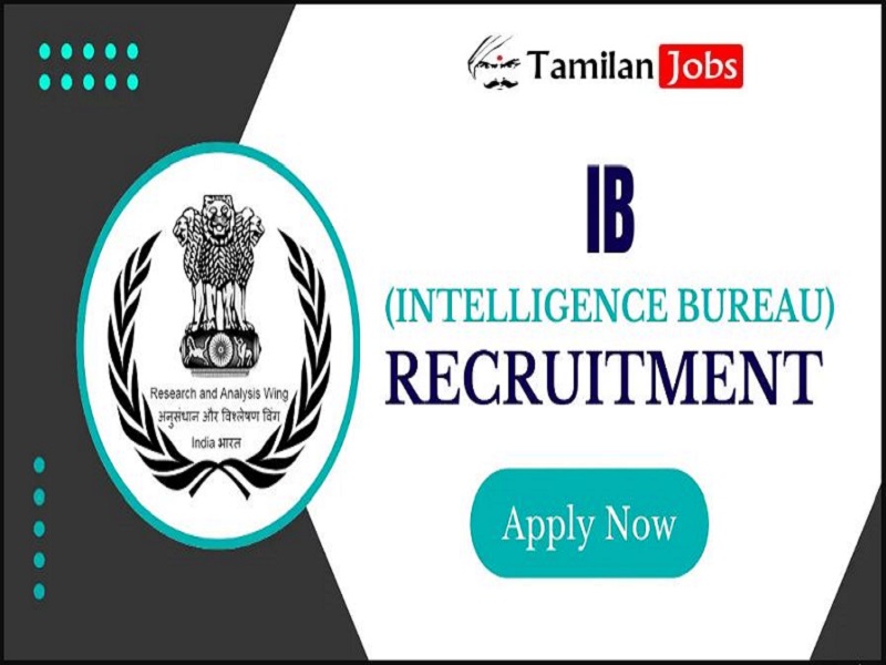 IB Recruitment 2024