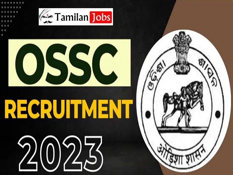 OSSC Recruitment 2023: Apply 234 Vital Statistics Assistant Posts | Graduate Only Ossc Recruitment 2023