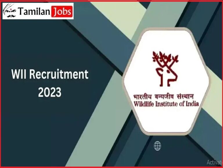 WII Recruitment 2023