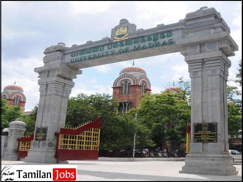 Madras University Recruitment 2024