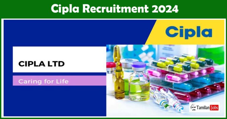 Cipla Recruitment 2024
