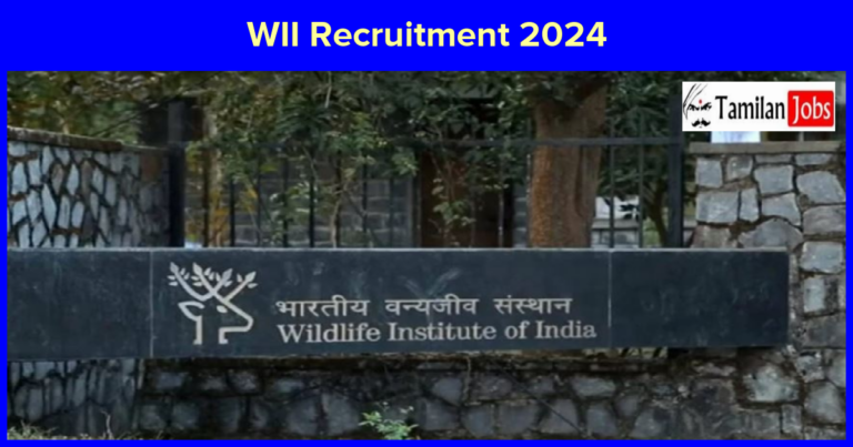 WII Recruitment 2024